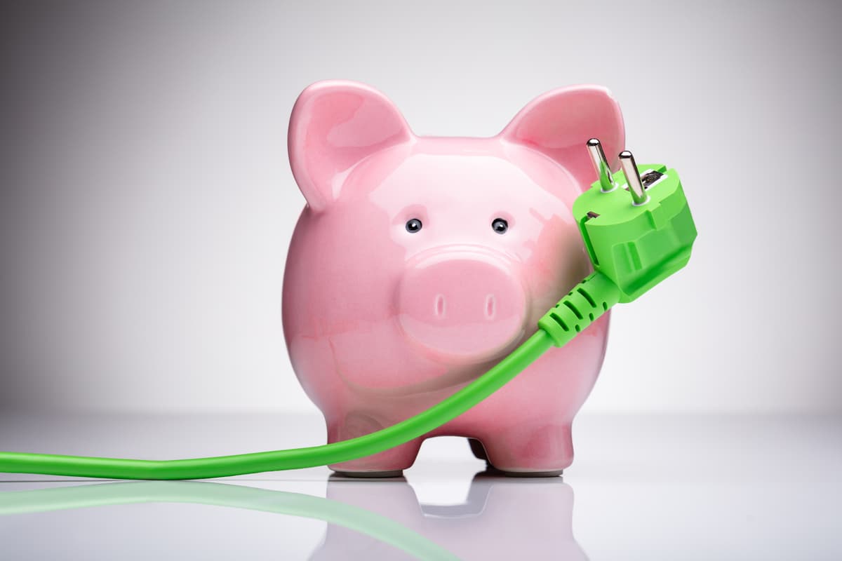 Sparegris med støpsel Rosa sparegris med grønn strømledning