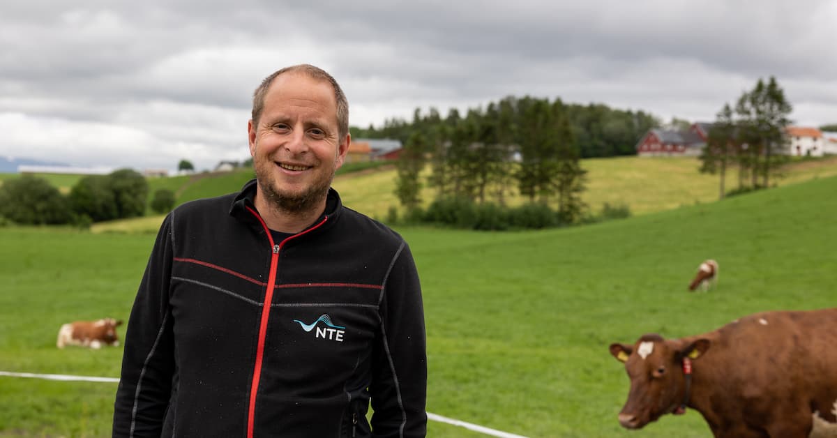 espen saugestad Smilende mannlig elektriker foran kyr