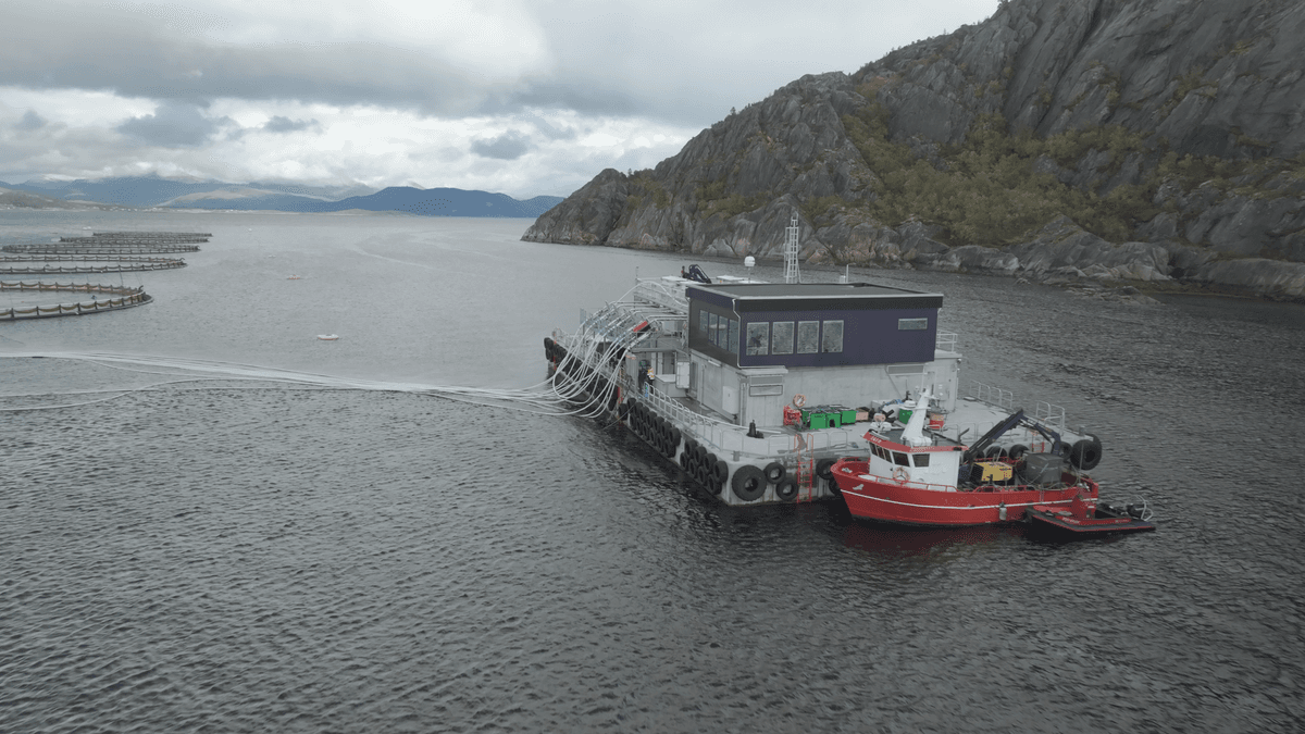 Ballangen Sjøfarm flåte Jevik Forflåte og en båt