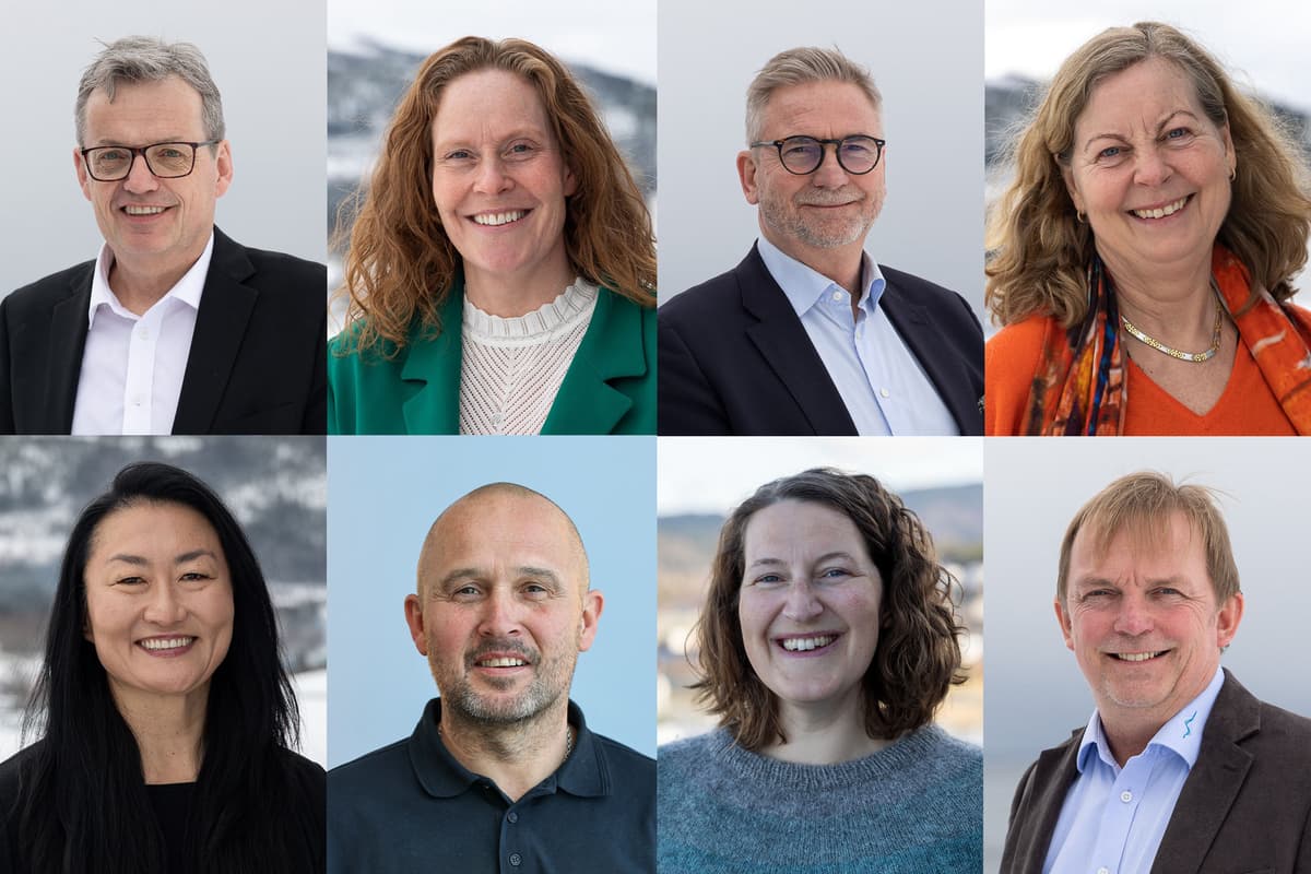 Bildecollage med 4 enn og 4 kvinner Bildecollage med 4 enn og 4 kvinner