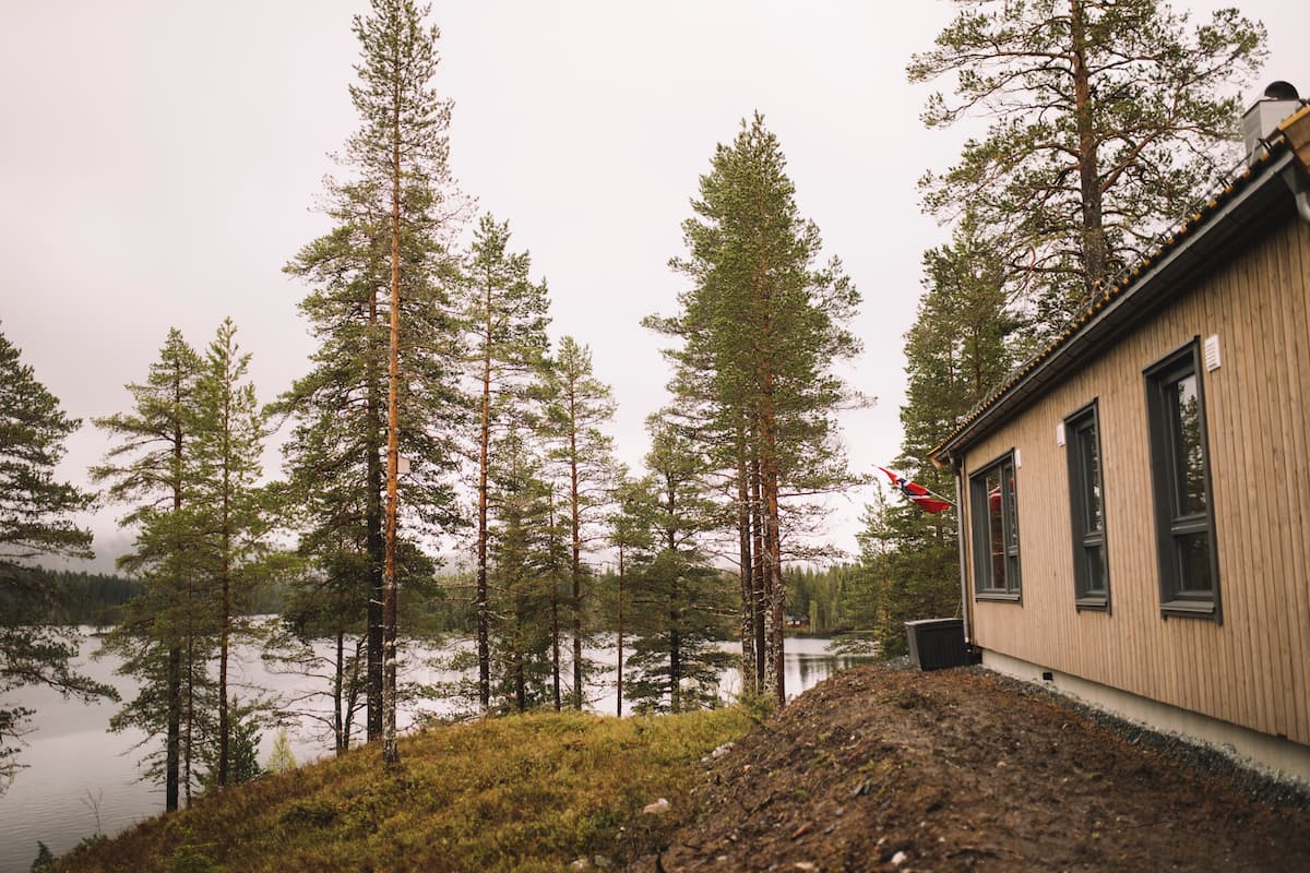 eksteriør Hytte liggende i skogen ved et vann