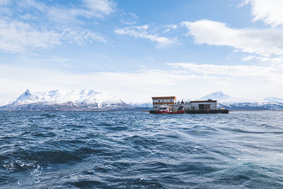 Bilde av fôrflåte ved oppdrettsanlegg utenfor kysten. Bilde av fôrflåte ved oppdrettsanlegg utenfor kysten.